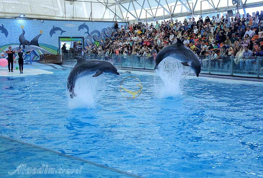 پارک دلفین های برج میلاد