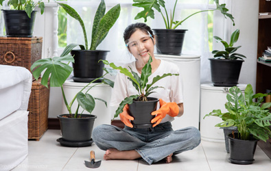 فواید نگهداری از گیاهان