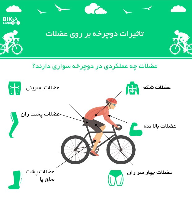 لاغری در دوچرخه سواری